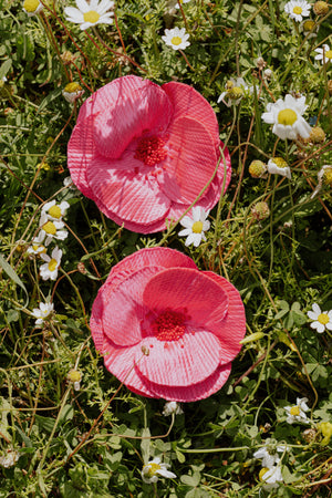 Flower Earrings